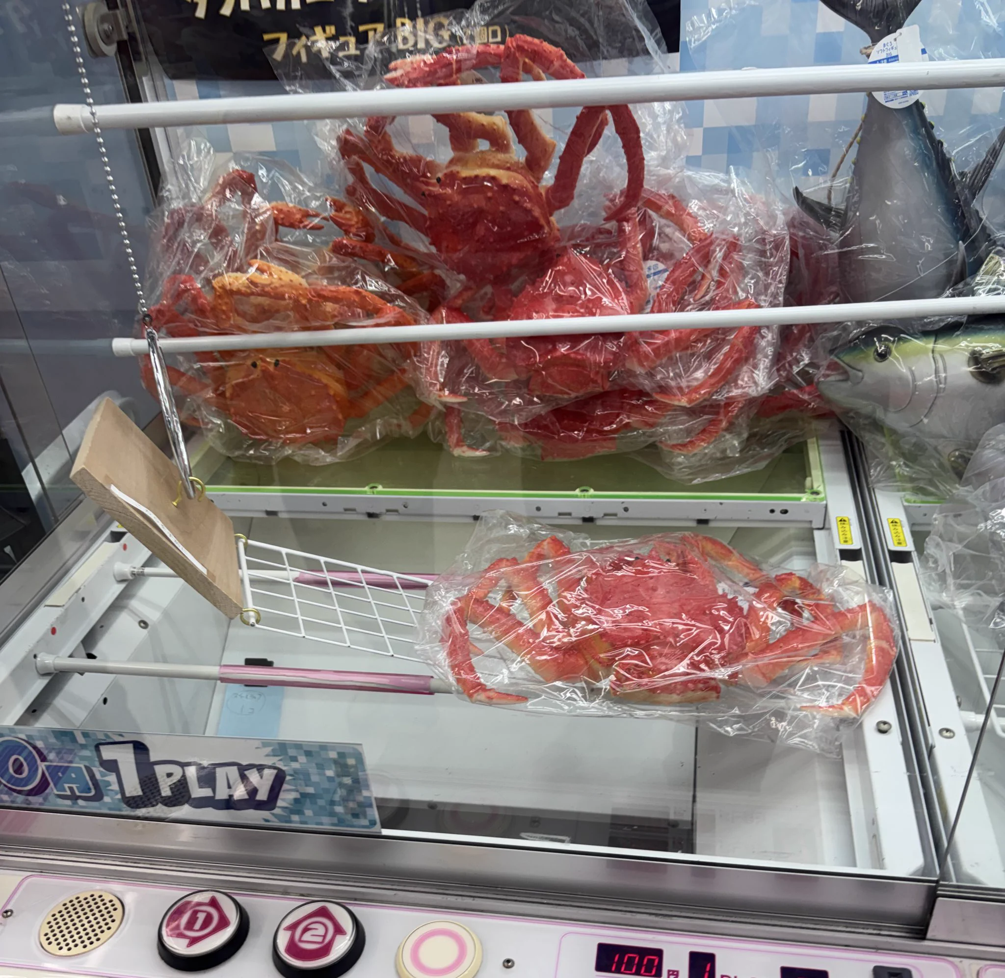 トガ社長B【prize hunter】 on X: 