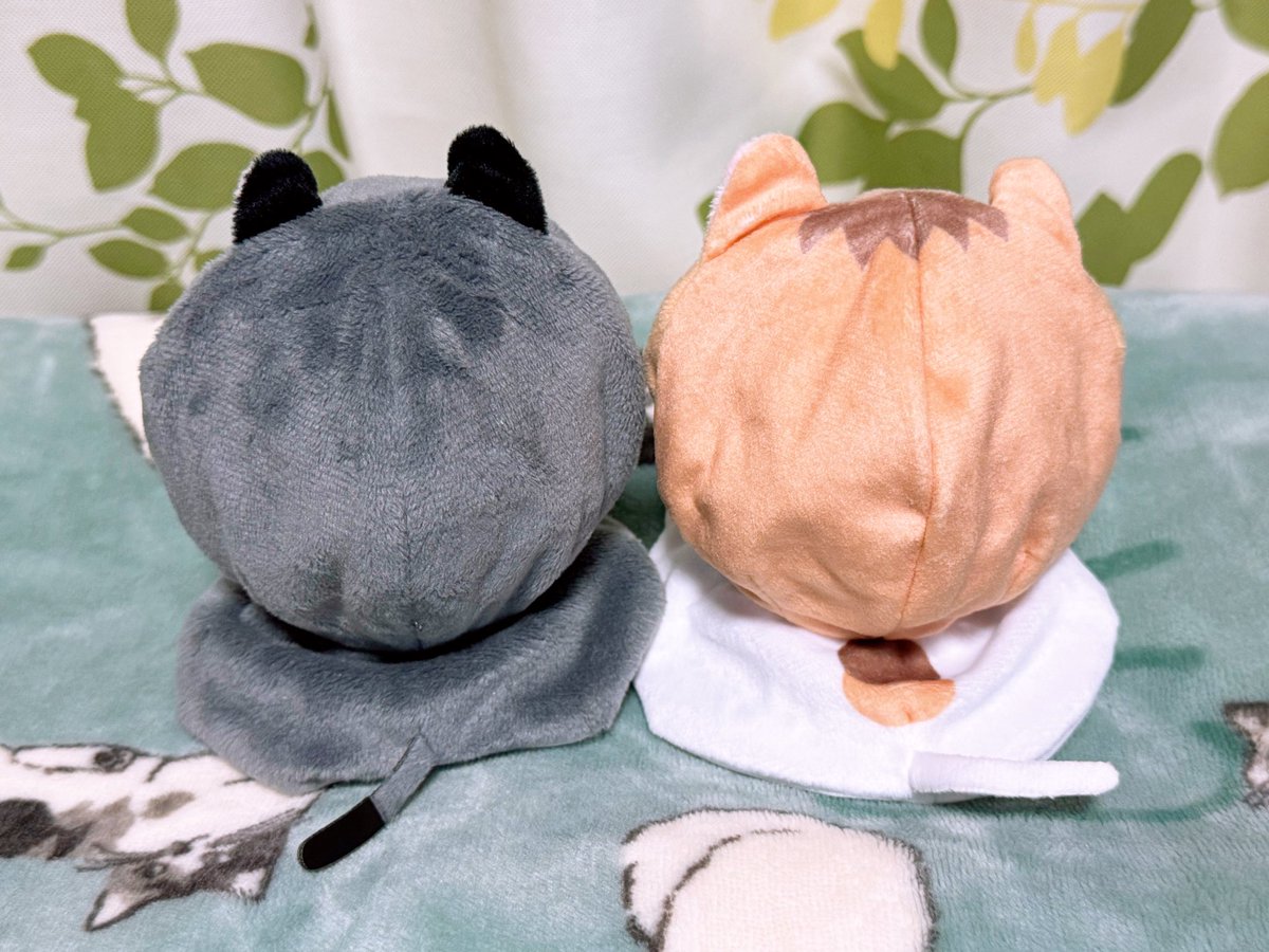 梅宮一 13(14)点 梅宮一 13(14)点