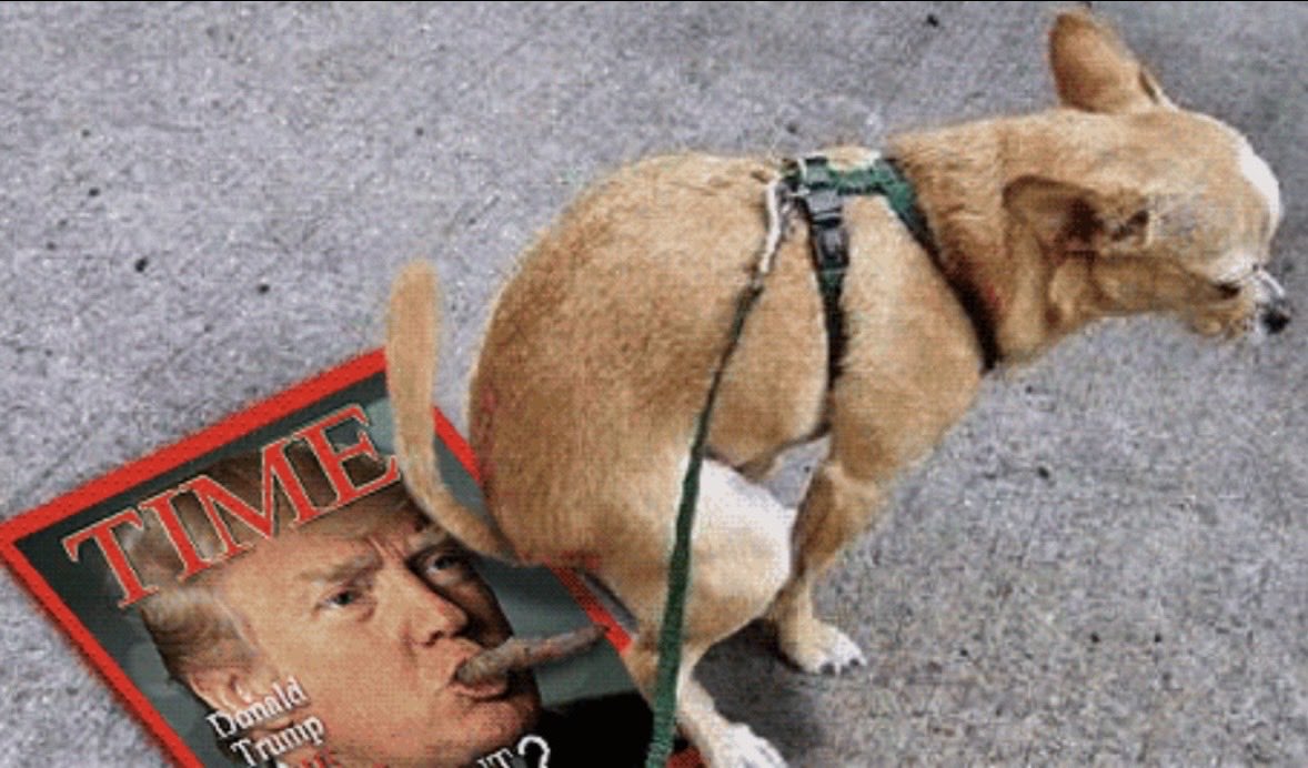 Even dogs hate him… 🤣