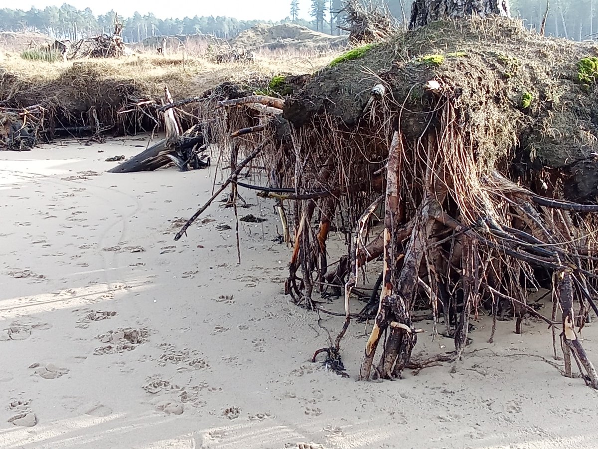 Paul Cockshott tweet media