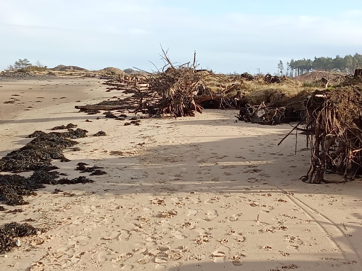 Paul Cockshott tweet media