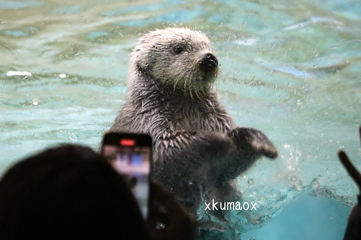 kuma (@XkumaoX) / Posts / X