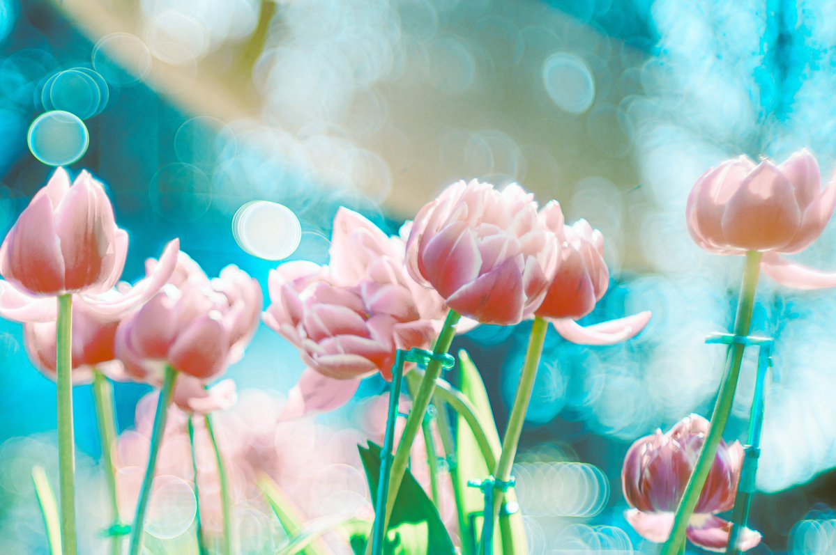 キラキラフォトコン参加者募集します
ちょっと長いですが読んだ上でご応募いただけると幸いです

【応募方法】
私にDMで写真を直接送るか
画質保ちたい方はギガファイル便のURLを送ってください
出来る方はファイル名をアカウント名.jpgにしてくれると助かります(出来る方で大丈夫です)