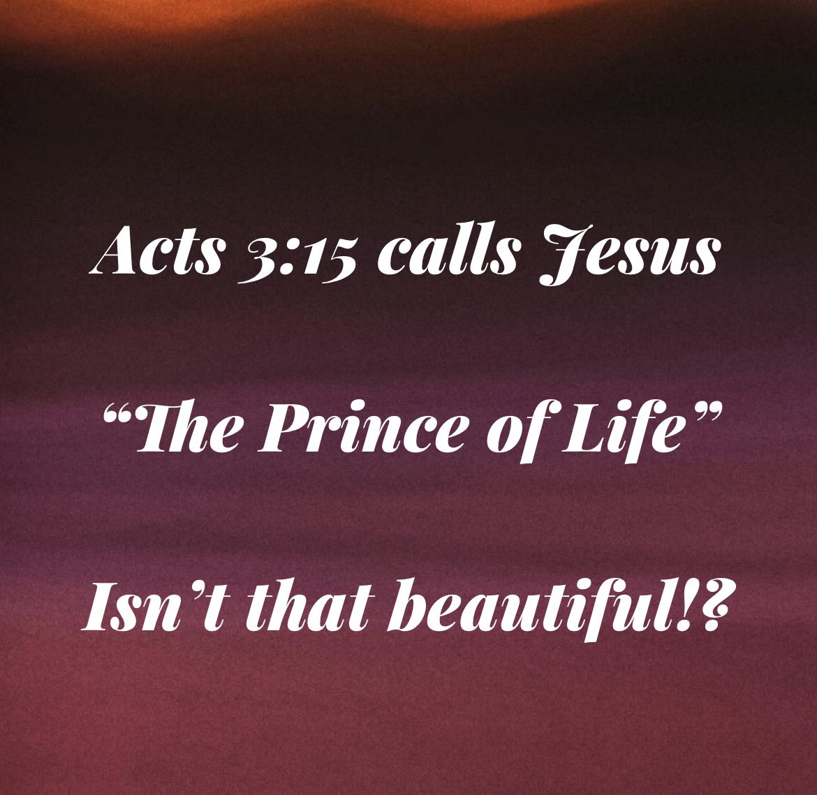 Lynnette Maynor (@lynnettemaynor) on Twitter photo 