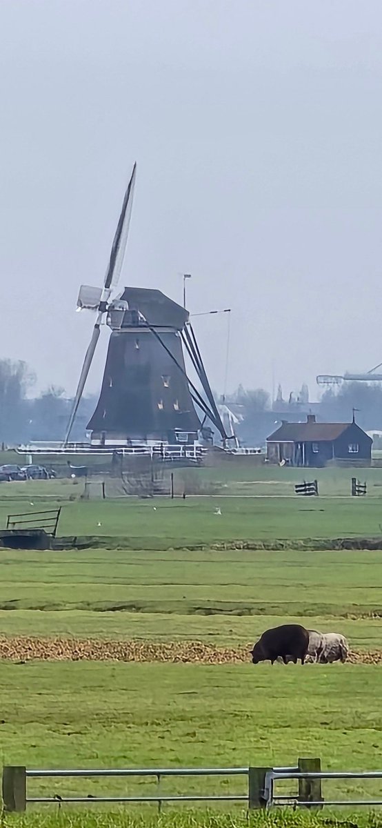 Martin1960's tweet photo. Druilerig winterrondje #Aarland, 27 km: https://t.co/ODEyU0zHWg ππ΄ββοΈβοΈ #AlphenAanDenRijn #Zwammerdam #Aarlanderveen #Korteraar #Aardam #TerAar #Alphen https://t.co/avVvIxGICb