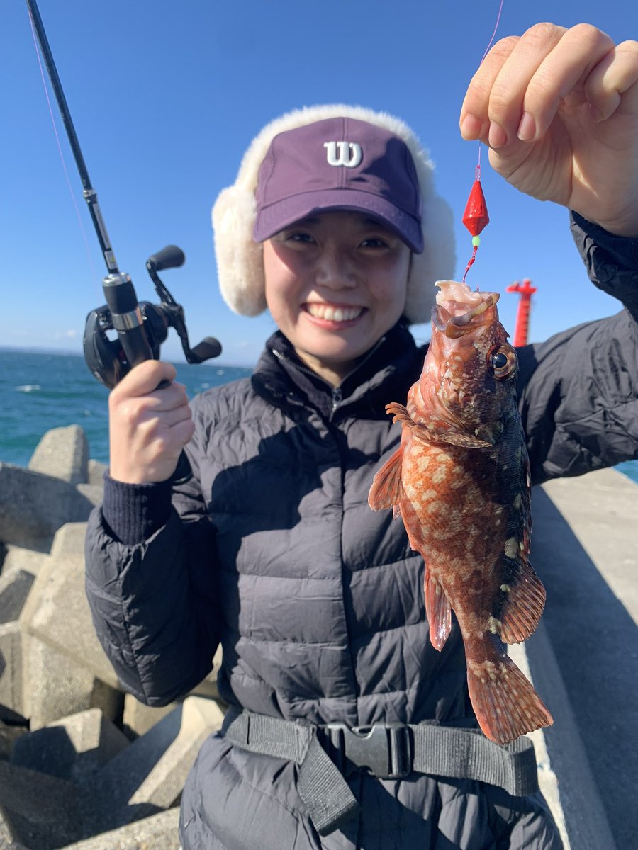 荒川晴菜 / HarunaArakawa tweet media