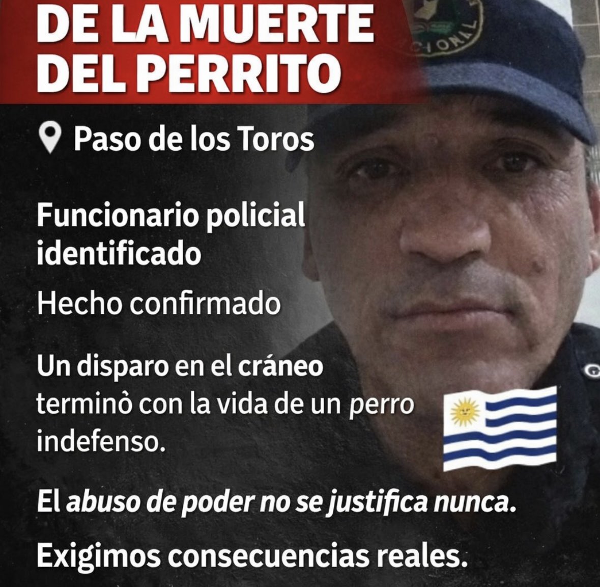 Hay que dispararle a los delincuentes no a animales indefensos pelotudo de mierda.