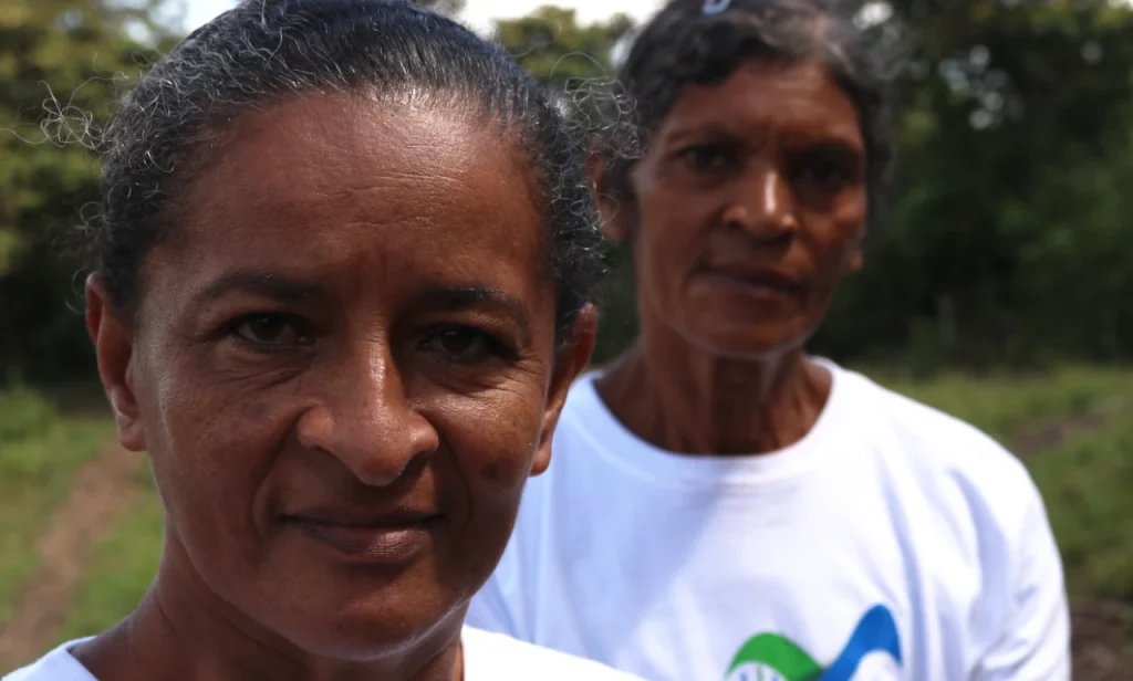 La Inventadera tweet media