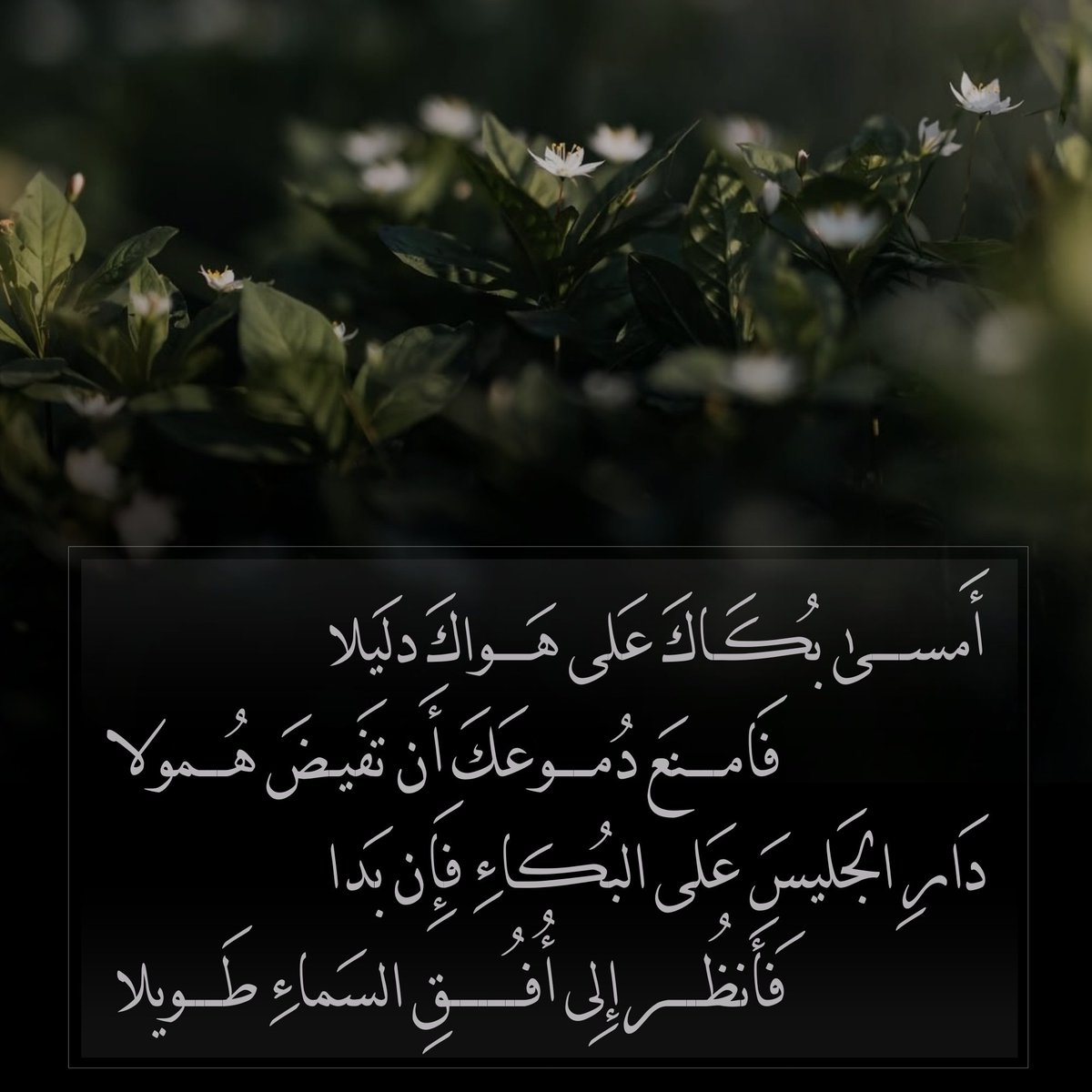 🎀فاطمة🎀 tweet media