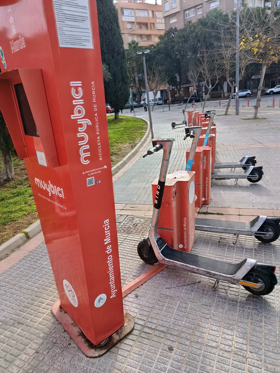 Make Murcia Hermosa Again tweet media