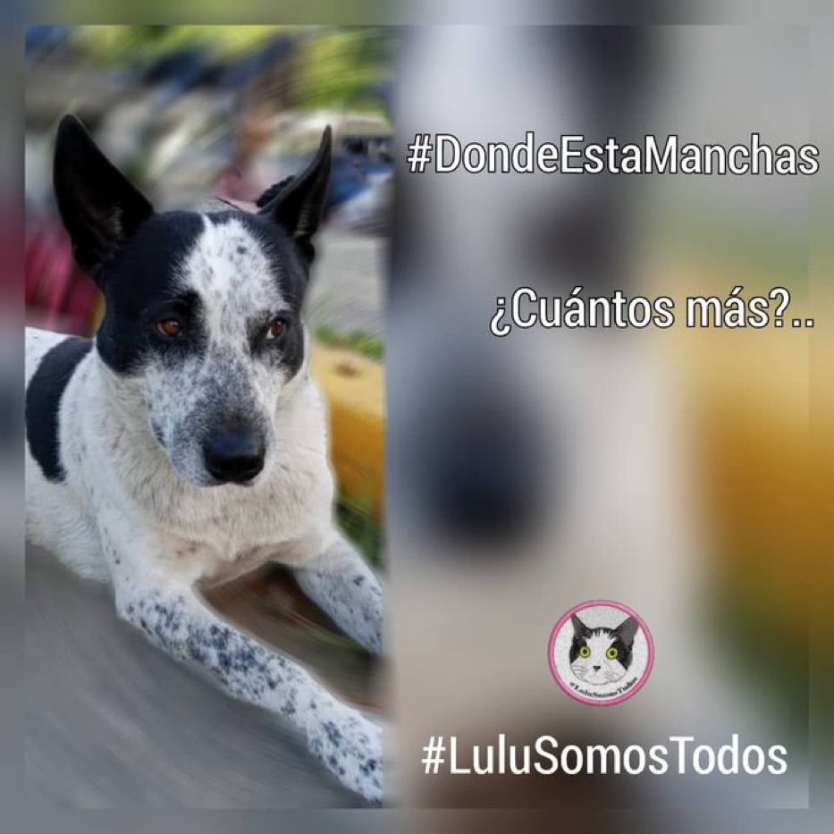 Rescata (@carmenzr04) on Twitter photo 