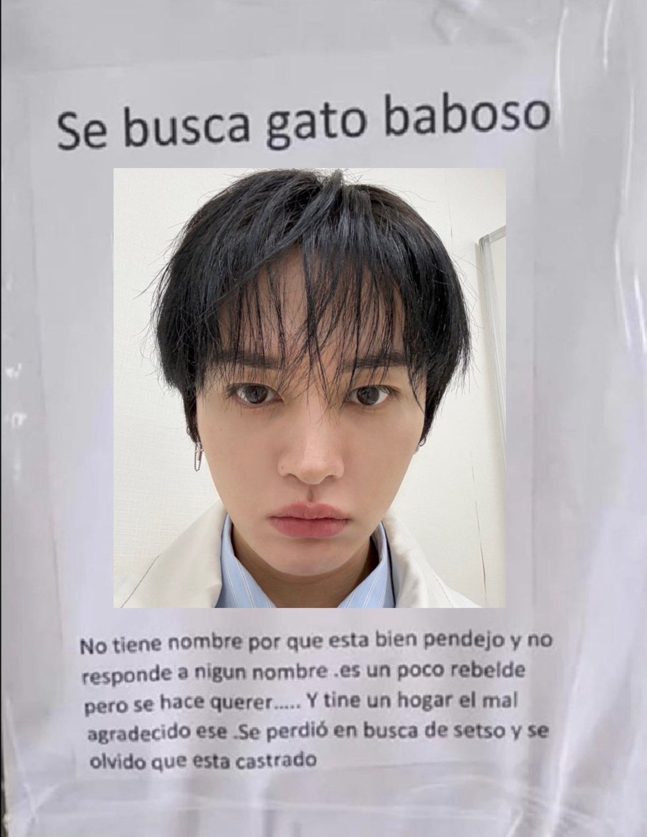 nasira (@tenderquokka) on Twitter photo 