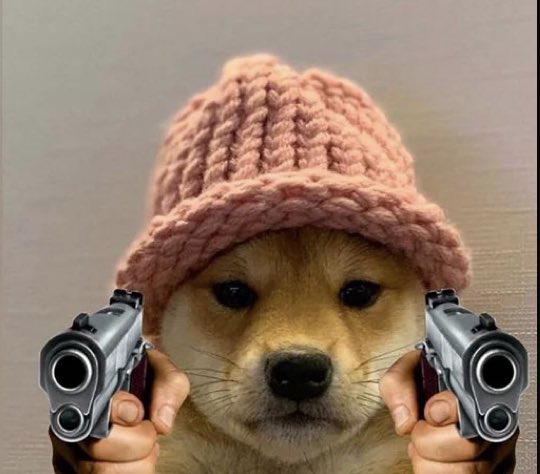 Has WIF reached 100 $ ? tweet media