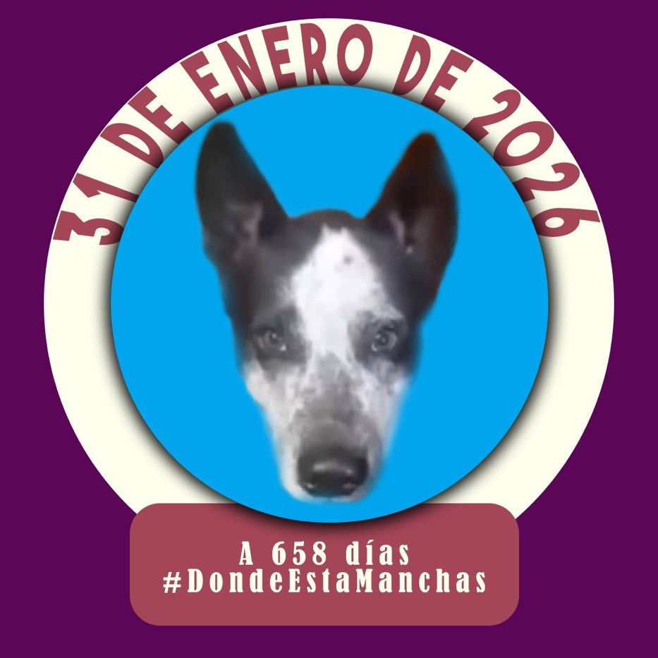 Rescata (@carmenzr04) on Twitter photo 