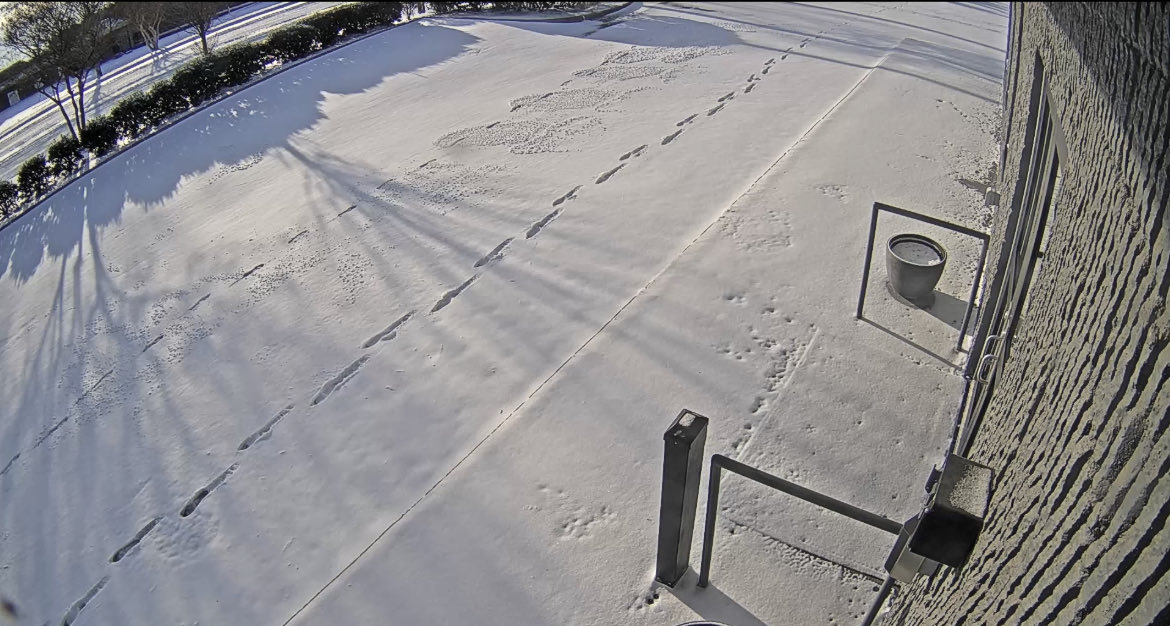 Connections Academy tweet media