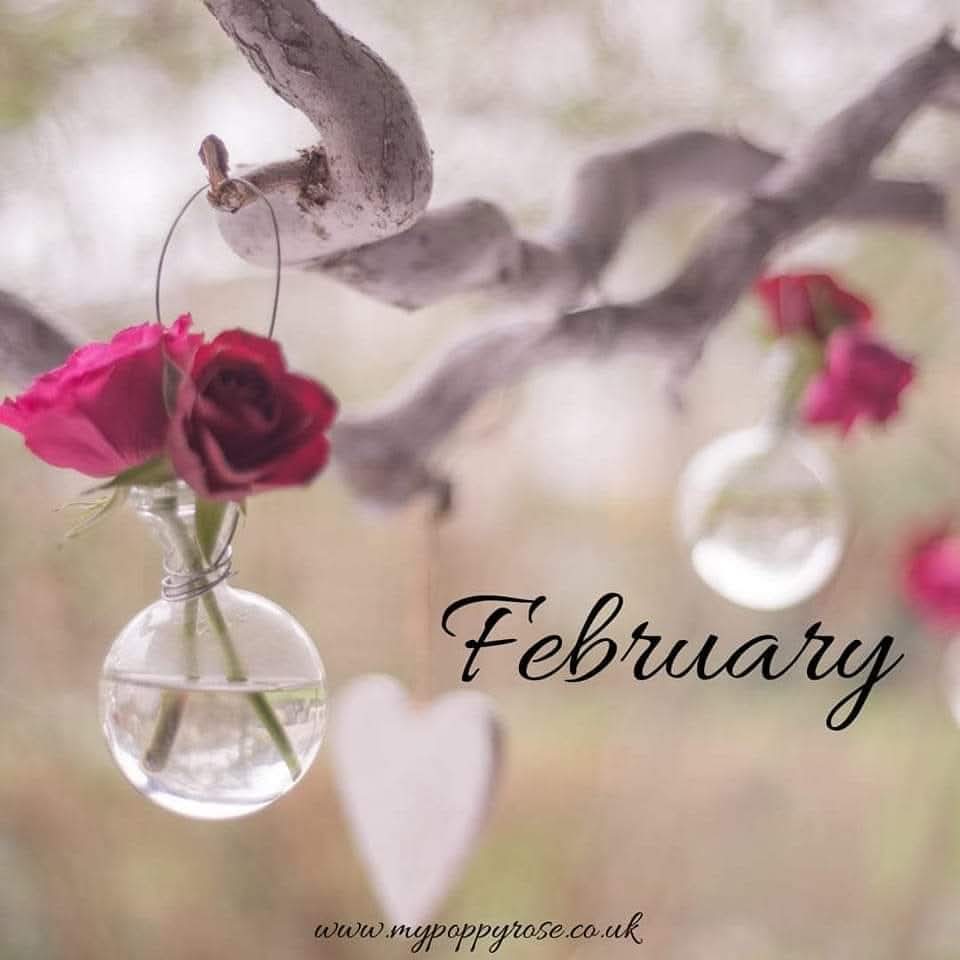 My Poppy Rose tweet media