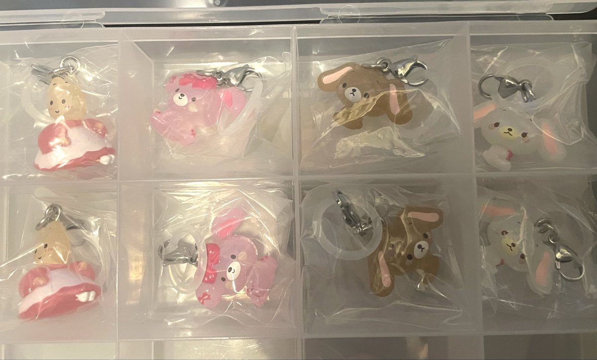 ｼｬﾌちゃん‼︎ tweet media