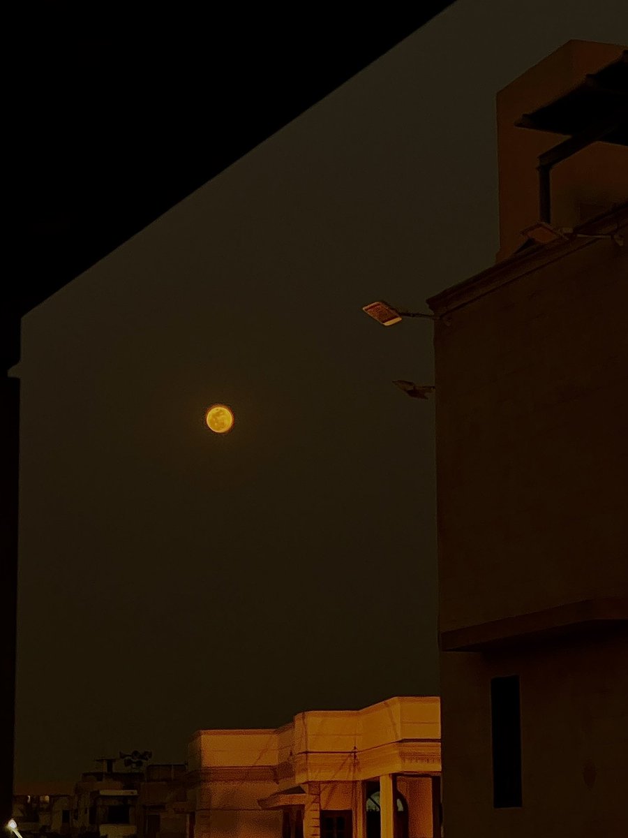 stroberibiryani tweet media