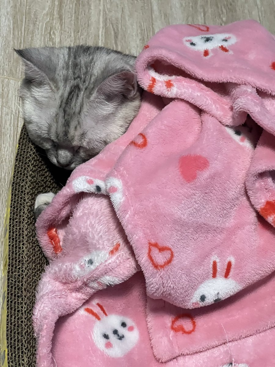 โรสผมหนาวว🥶