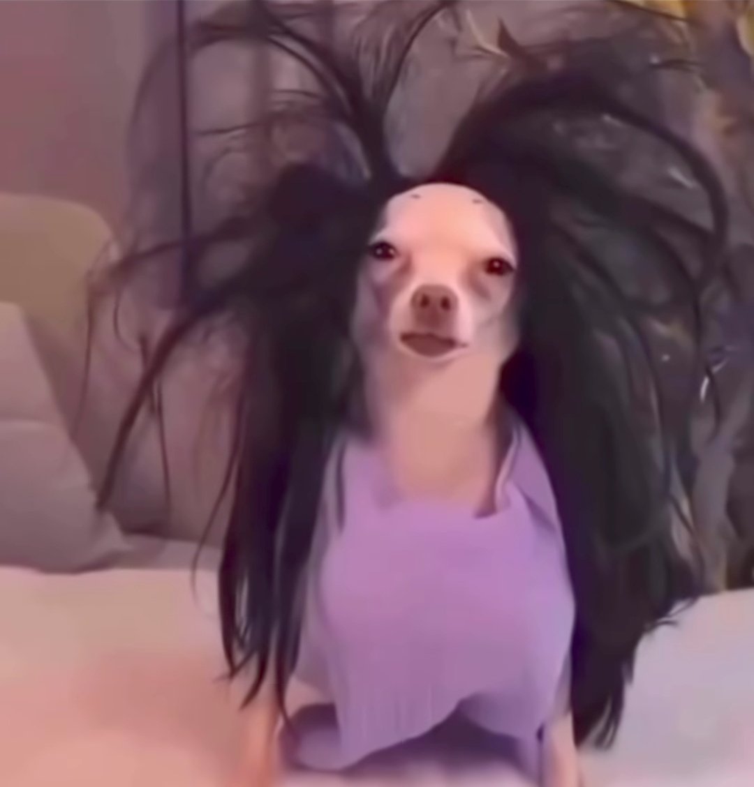 _ScottSandy's tweet image. Pode vir Fevereiro, Janeiro foi super tranquilo