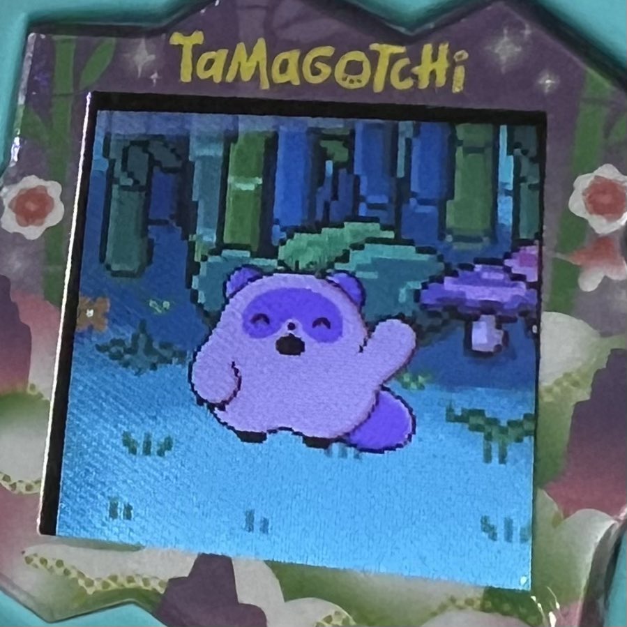 たまごっち直った😭 たまたまこの子が生まれて(お世話ミスしてたから