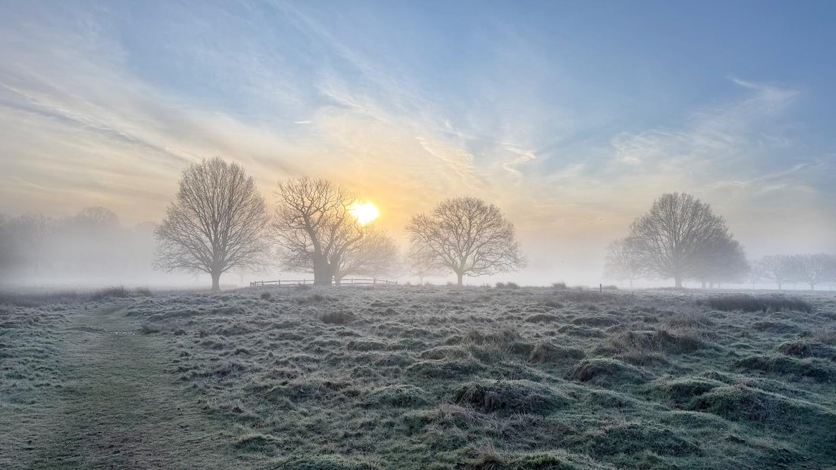 Friends of Richmond Park tweet media