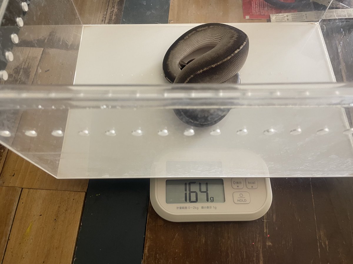 Dxxth Adder tweet media