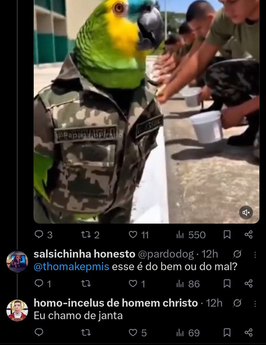 Acervo Rochóide tweet media