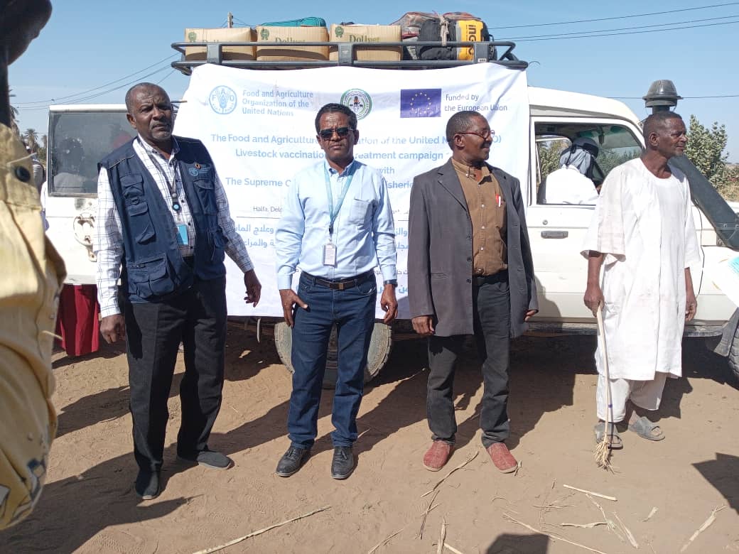 FAOSudan tweet media