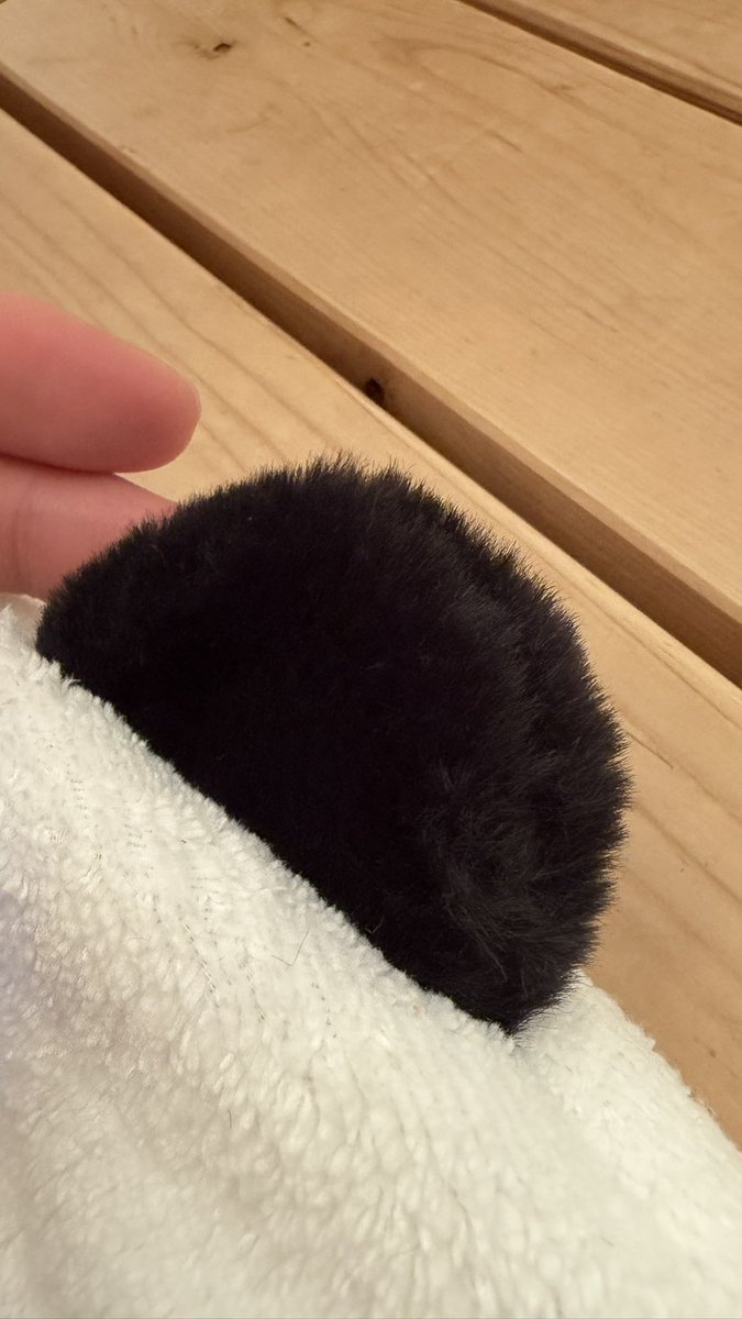 uhsauna's tweet photo. 【お知らせ📢】

年末イベントでもご好評いただいたパンダサウナハット、本日よりwebショップに入荷しています🙌

裏地付きで、今回もふわふわ手触りにこだわりました🐼🎋 https://t.co/UN8fpqcn4P