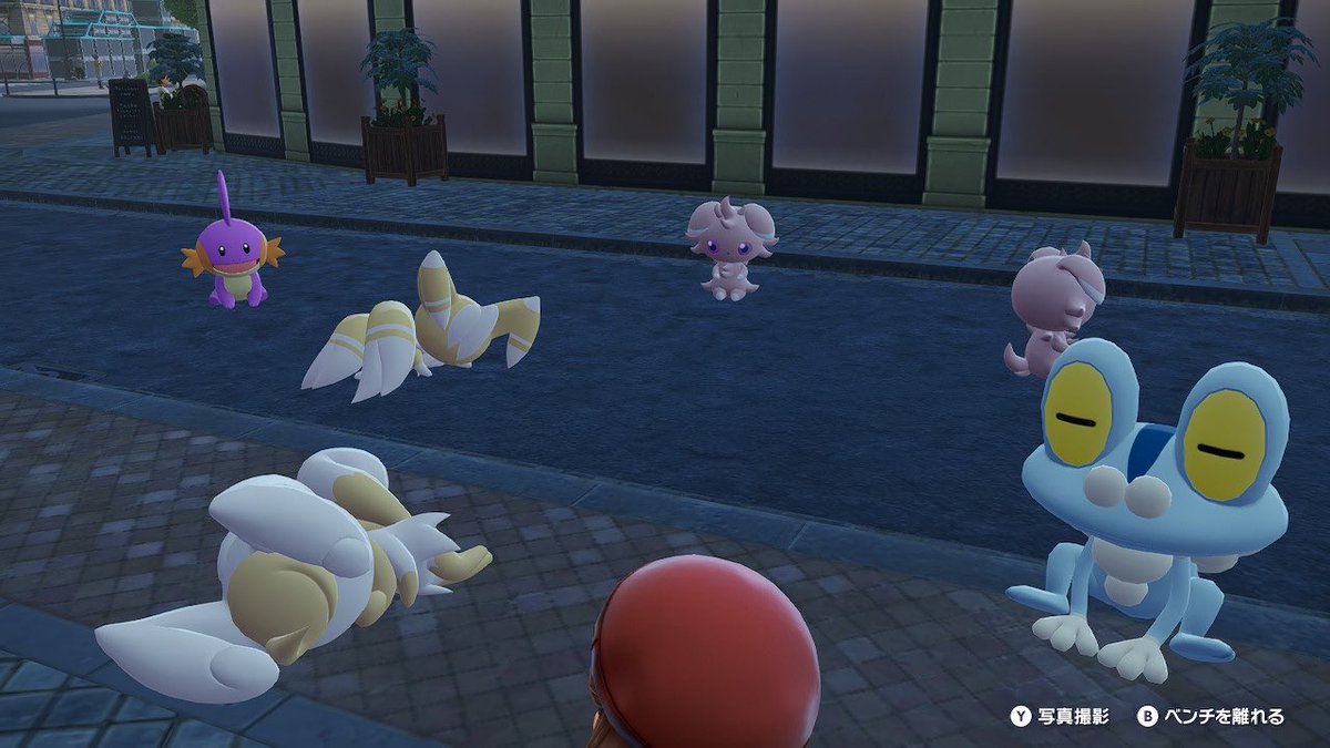 色違いいっぱい✨️✨️