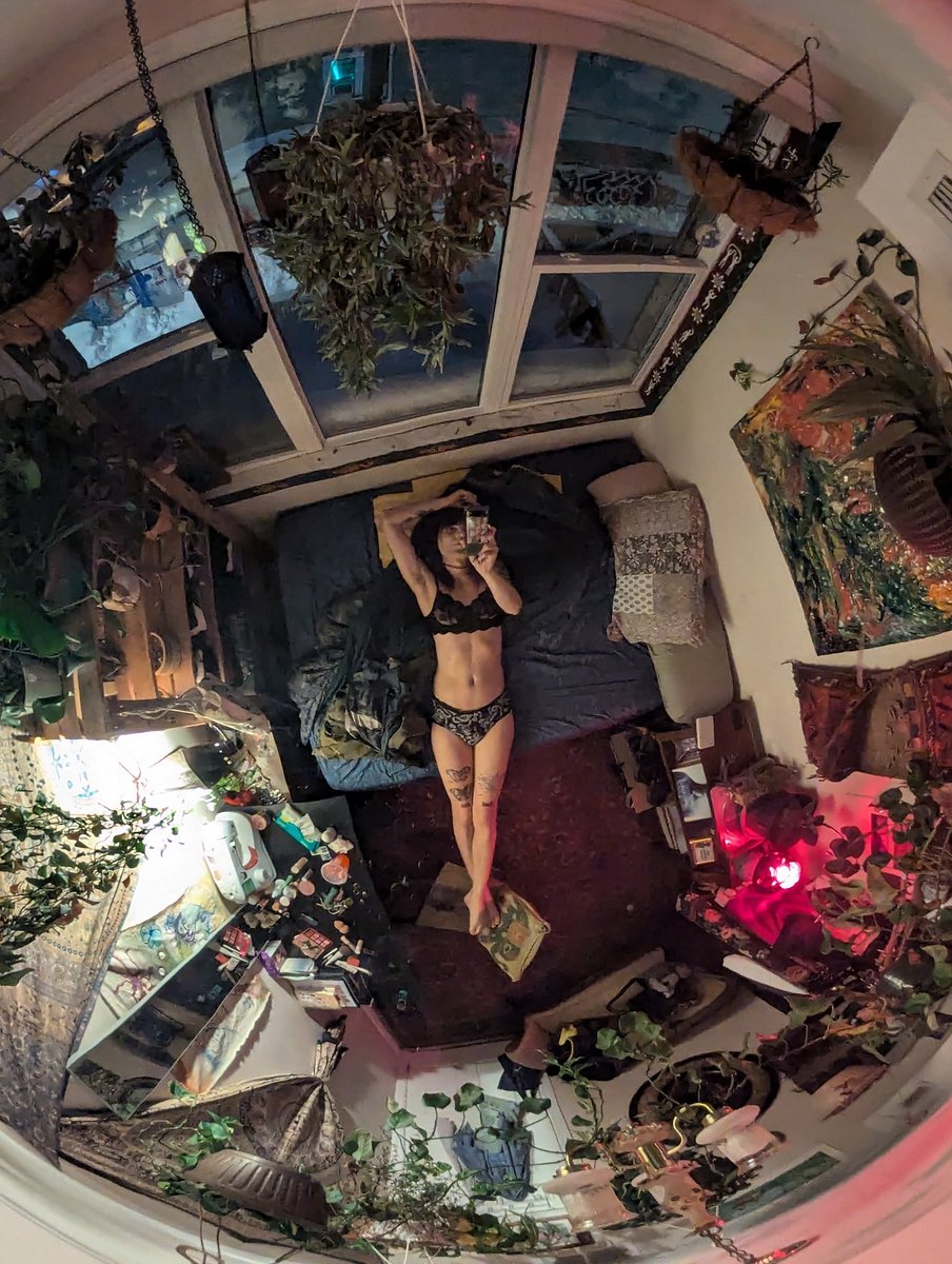 The transgender women on twitter dot com yearn for more ceiling dome pics