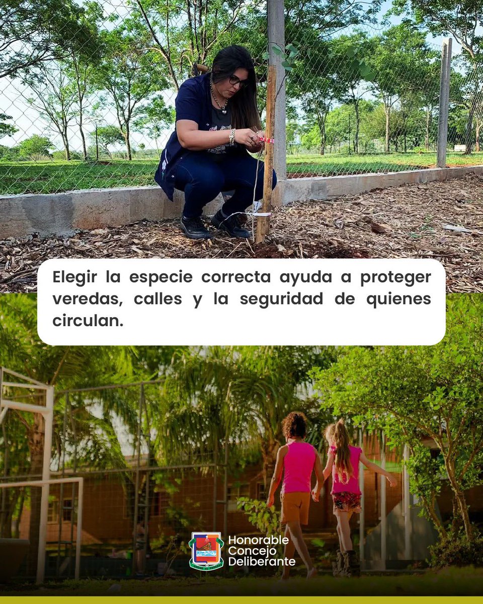 HCD Posadas tweet media