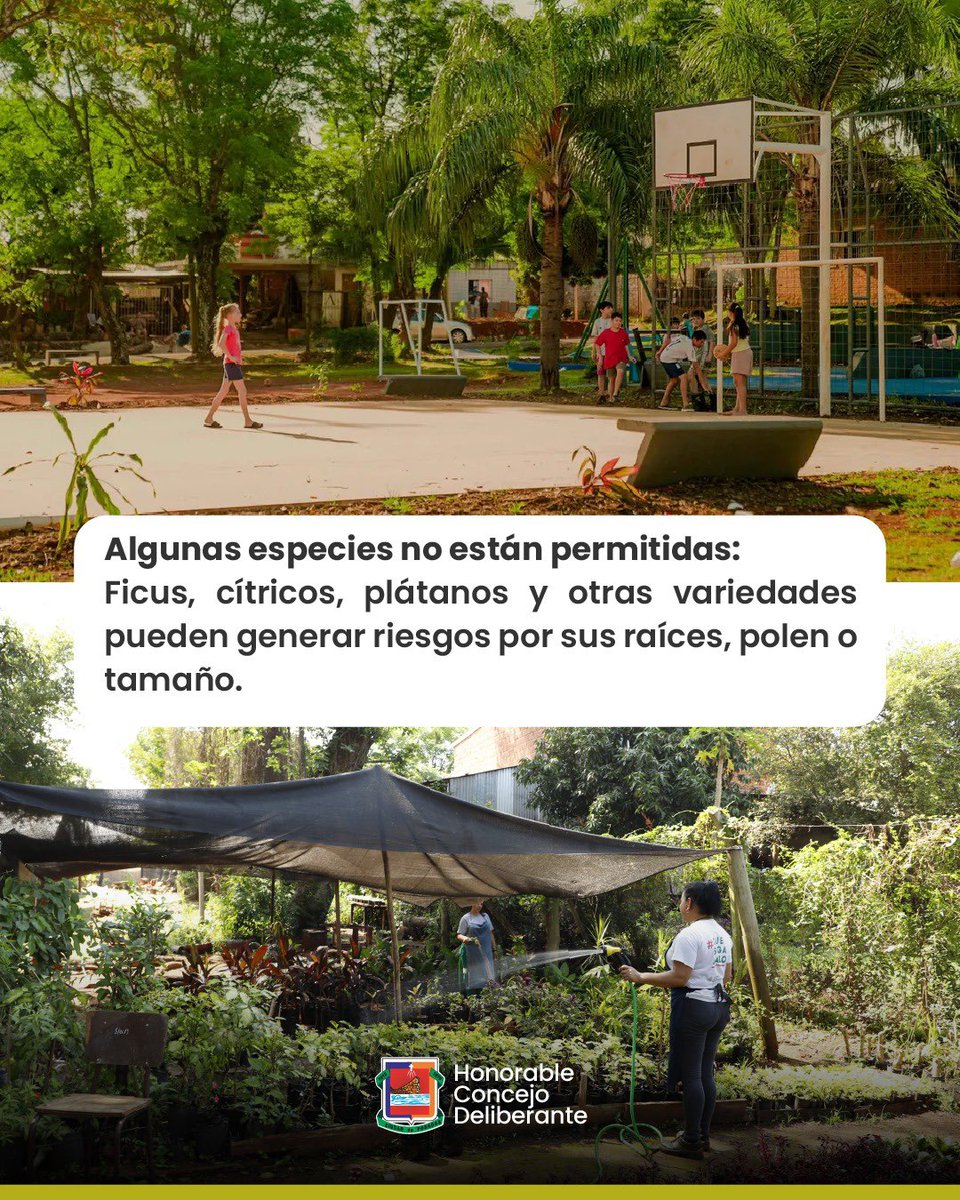 HCD Posadas tweet media