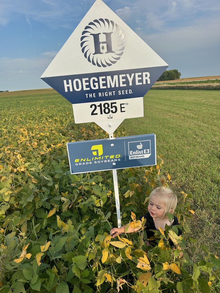Hoegemeyer Hybrids tweet media
