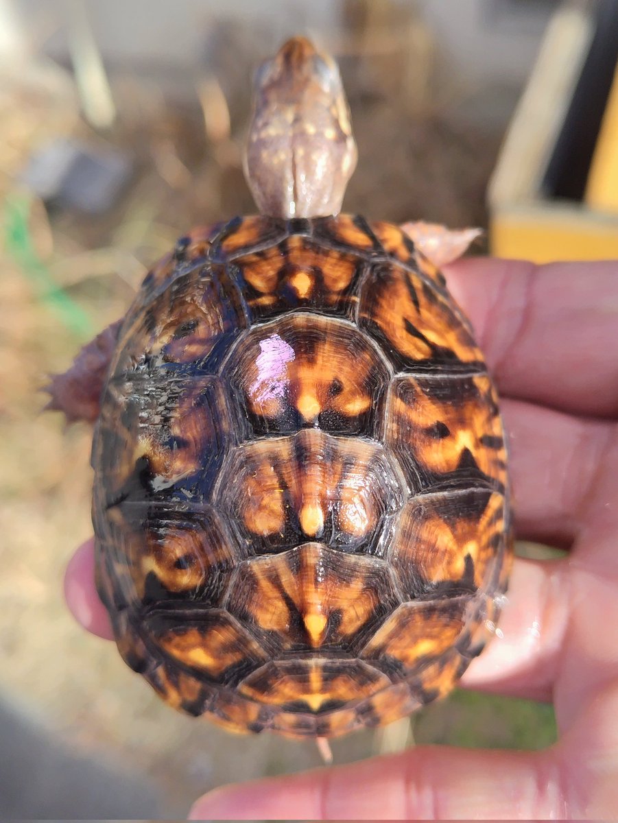 tito (@34_wgnc) / Posts / X