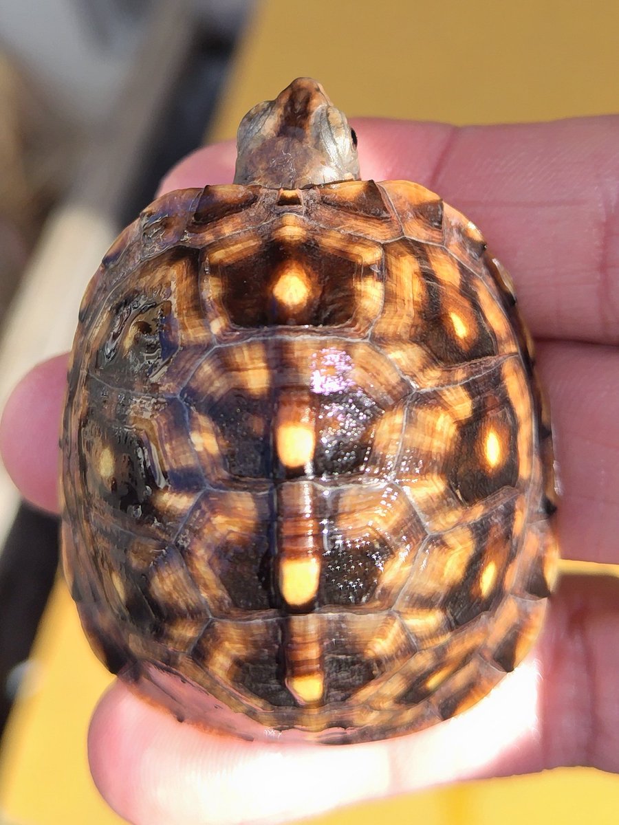 tito (@34_wgnc) / Posts / X