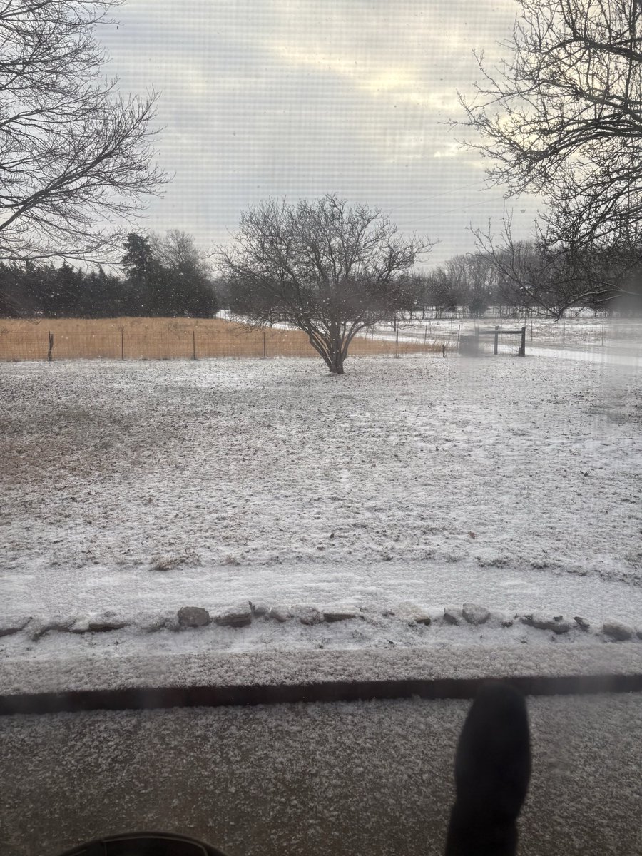 kattreed1's tweet photo. @NashSevereWx This is my house in Rutherford county https://t.co/9a0lwTzdqU
