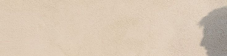 سنيوري tweet media