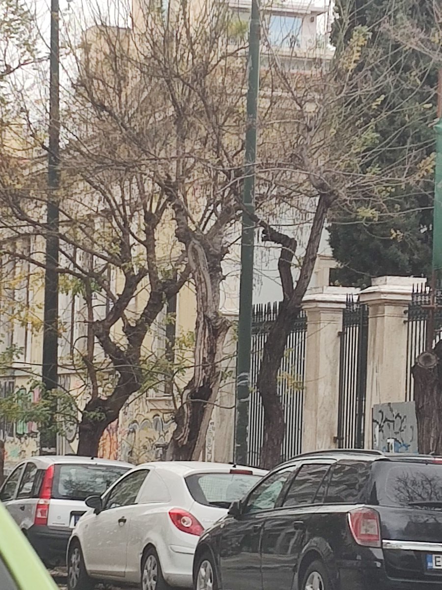 🎼Θελω να γυρισω στα παλια
Θελω την παλια μου γειτονιά🎶🎶