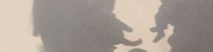 سنيوري tweet media