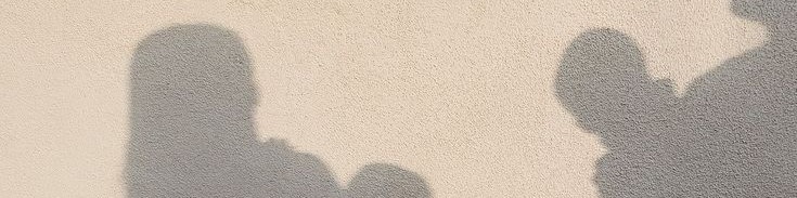 سنيوري tweet media