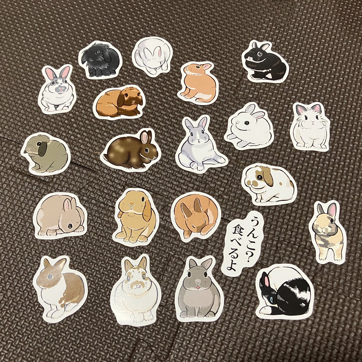 うさぎさんが健康で、幸せでありますように🤲