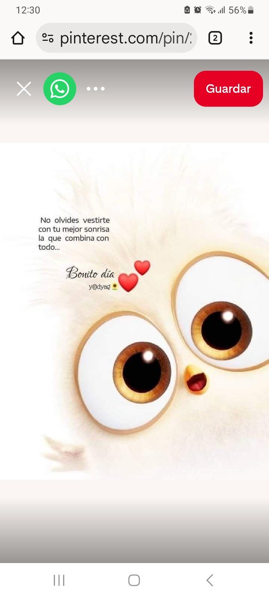 Buenos días un gran saludo a todos y que Dios nos bendiga. 🌷