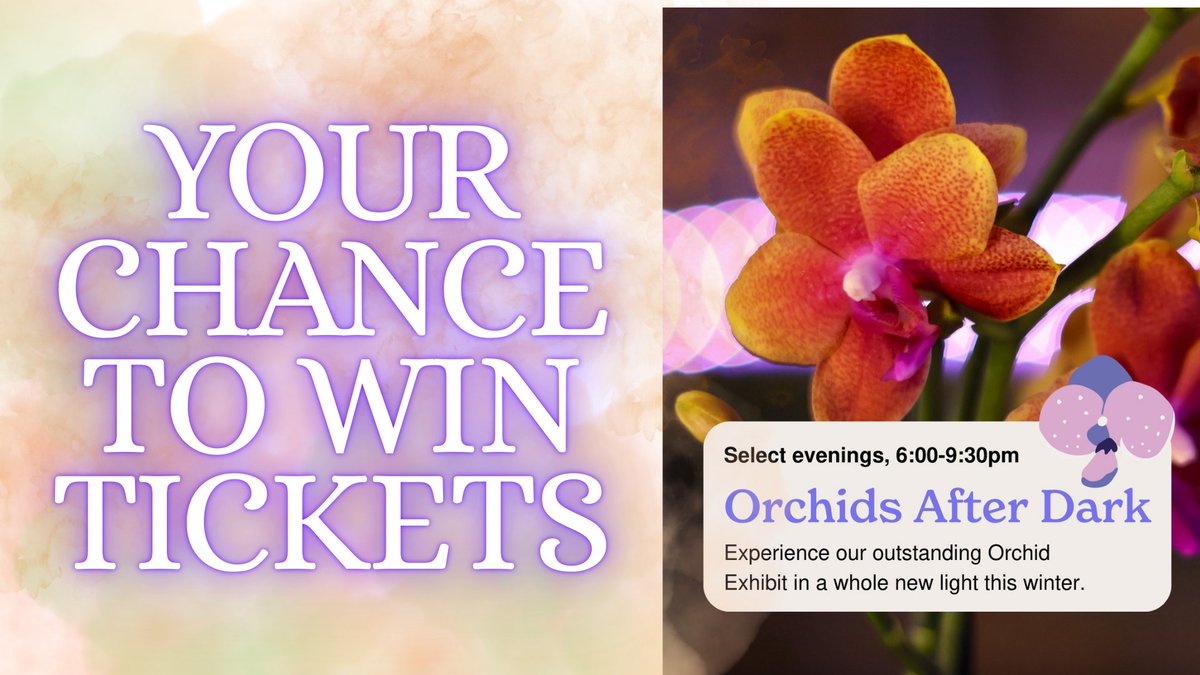 Buffalo’s Real Country 107.7 and 104.7 The Wolf tweet media