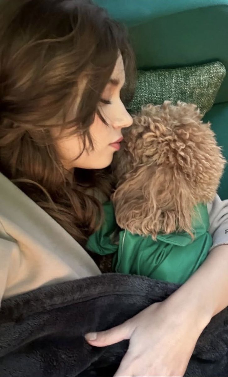 Aчlın. tweet media