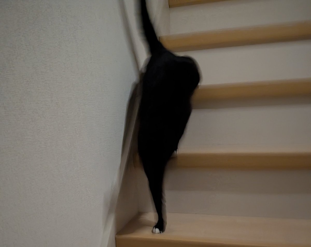 凪 nagi🐈‍⬛ tweet media