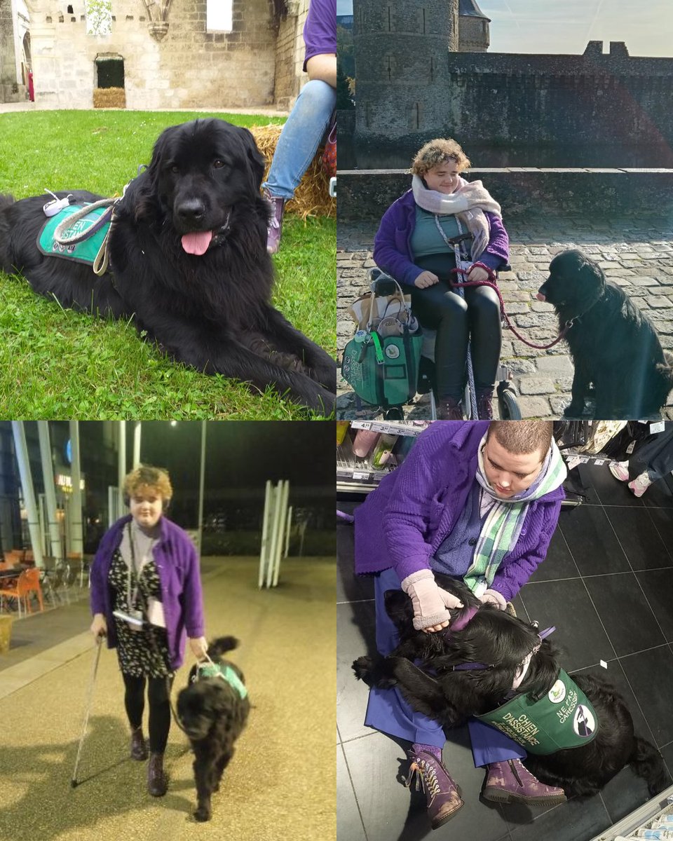 Aloïs aka Cupidon -aël- tweet media