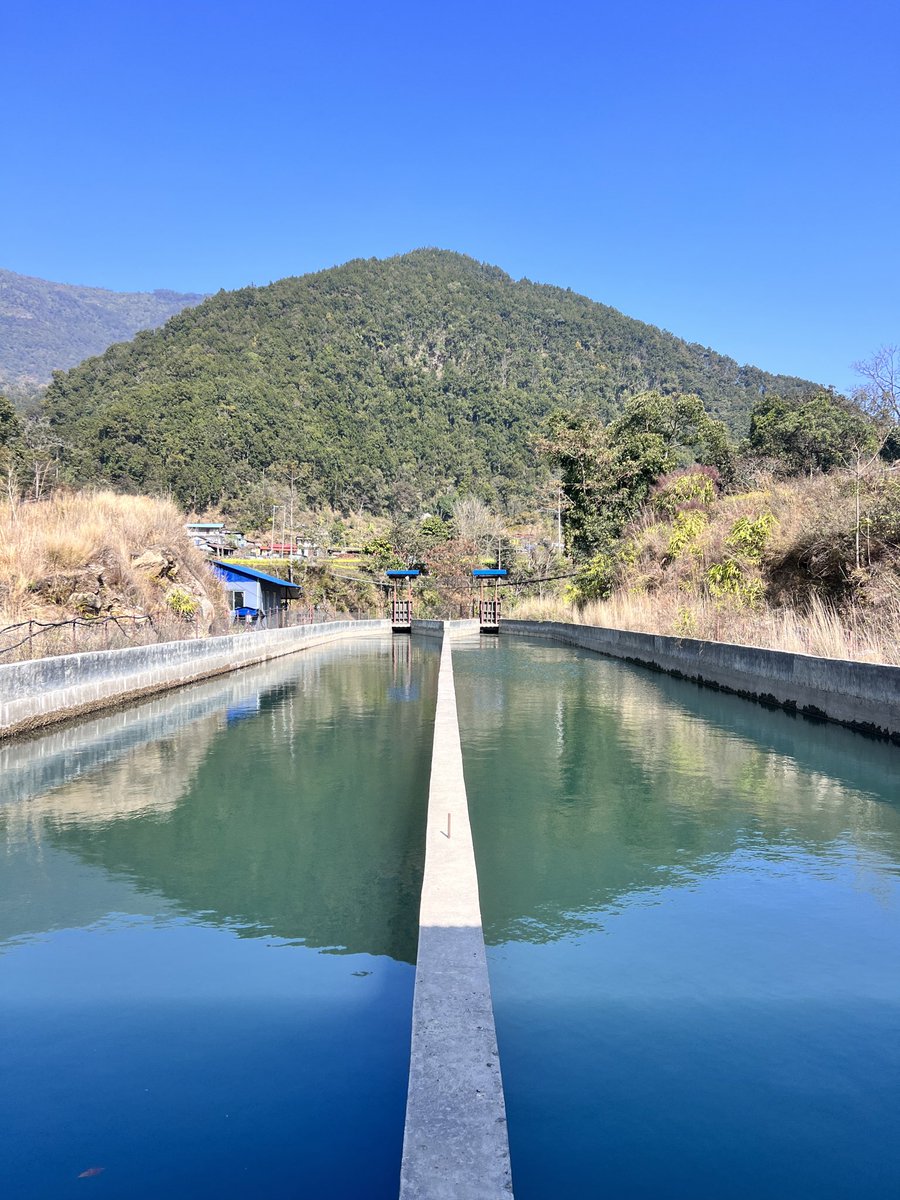 Symmetry ❣️

It is how infrasturcture align with Nature ! 🤔