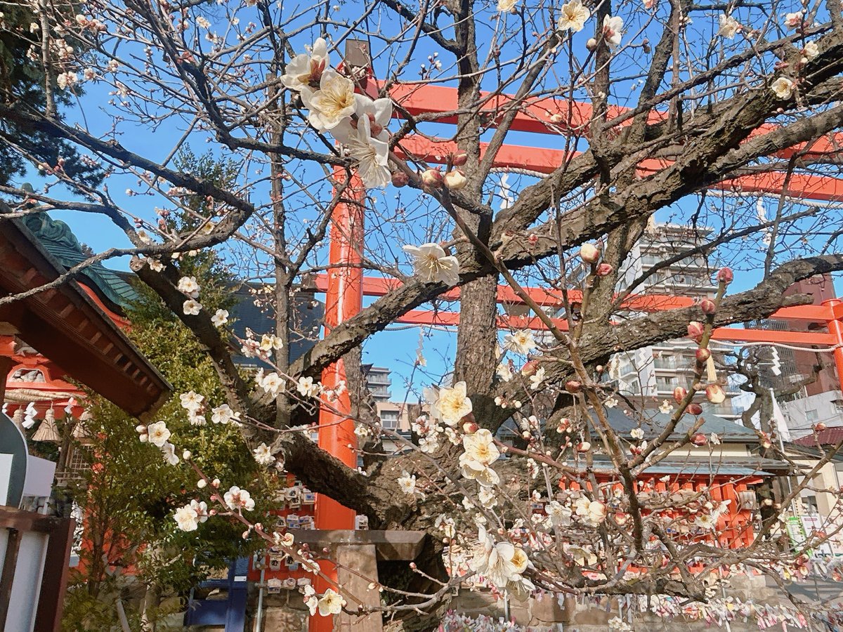 昨日の練習は先生がいらっしゃいました。練習後はみんなでココスでご飯🍽️ 練習の時の先生からのご指摘が以前、私が通っていた声楽の先生と全く同じ事だったので、成長のない私に若干凹みました🥲　でも『楽しく歌えればいいから』と言う先生の言葉に何か嬉しくなりました😊